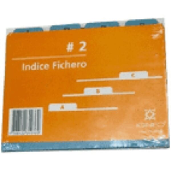 INDICE FICHERO Nº2