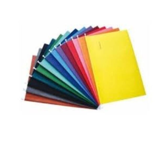 CARP COLGANTE PLASTICA COLOR SURTIDO (10)