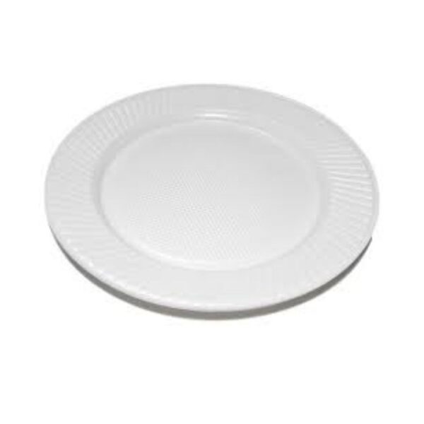 ENV - PLATO GRANDE X 10U