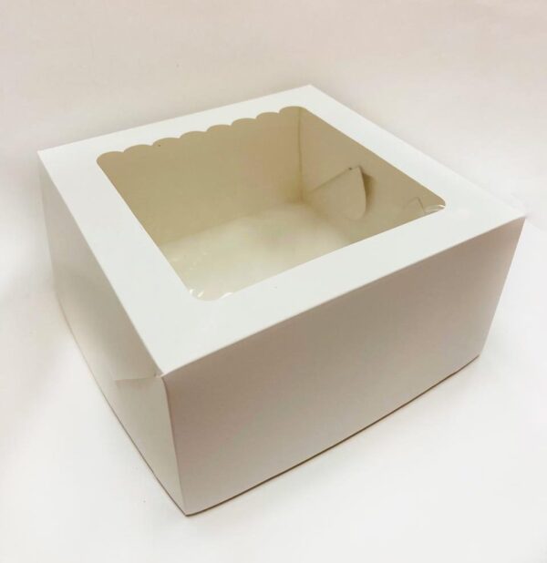 CAJA TORTA C/VISOR 26X26X12 X10U