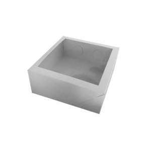 CAJA CON VISOR 22X22X9   X10u